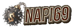 NAPI69 Logo
