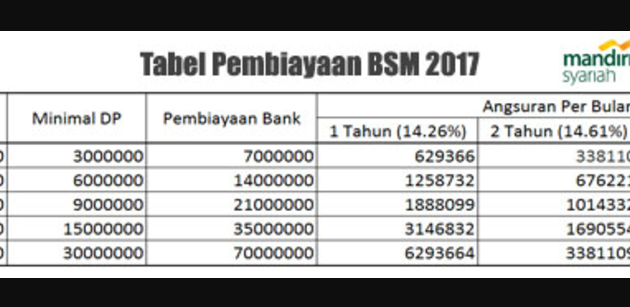 Tabel Pembiayaan BSM